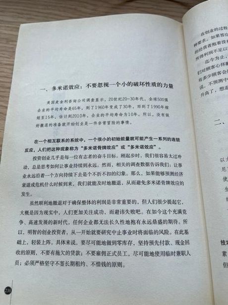 多米诺效应：数学和社会现象的完美结合